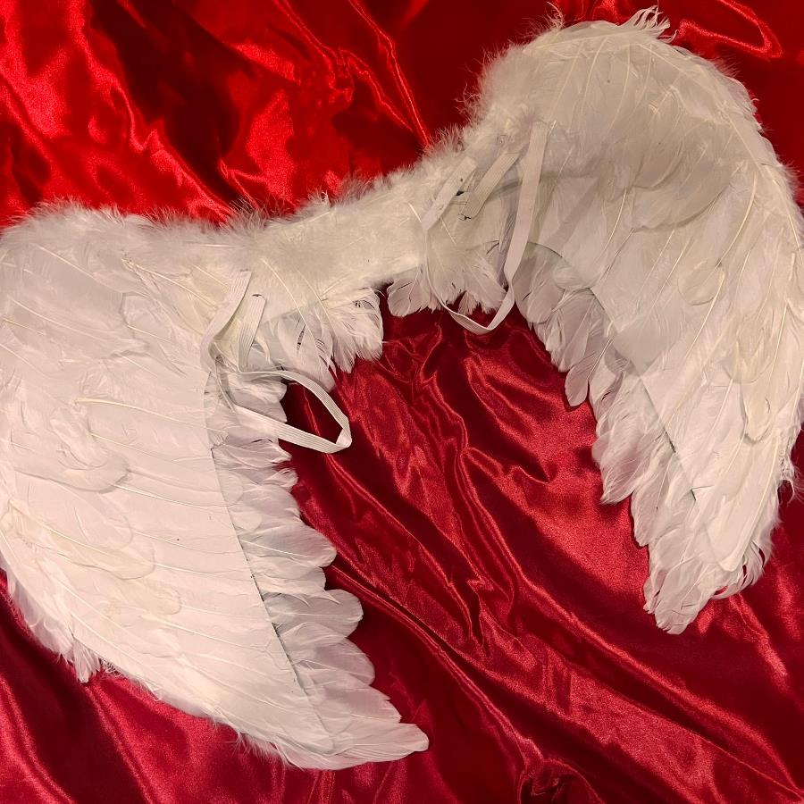 Alas De Angel Blancas
